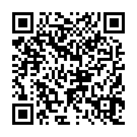 QR code for plate DSQ 807