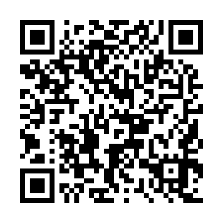 QR code for DSQ955