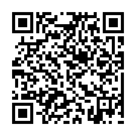 QR code for DSR125