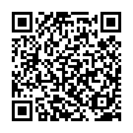 QR code for DSR411