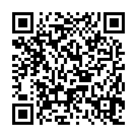 QR code for DSR984