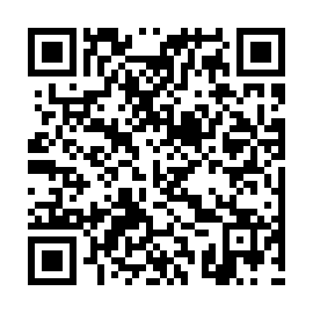 QR code for DSS 063