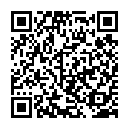 QR code for DSS 619