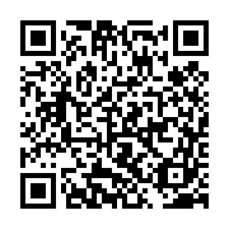 QR code for plate DSS 463