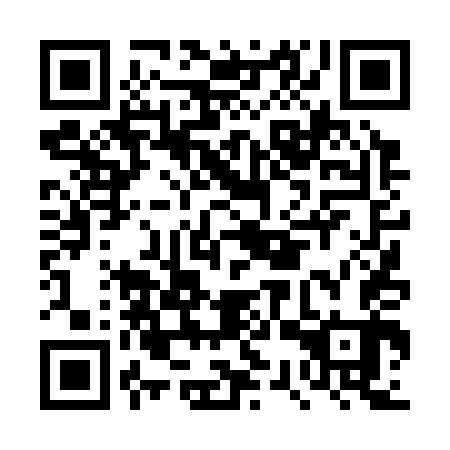 QR code for DST 343