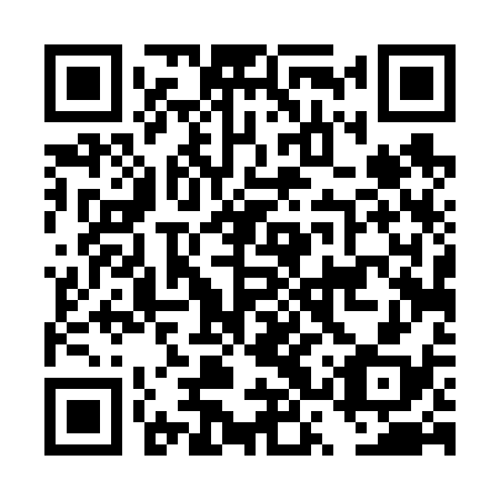 QR code for DST 638