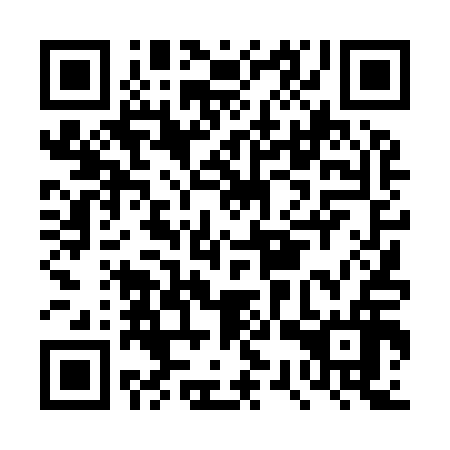 QR code for DST 916