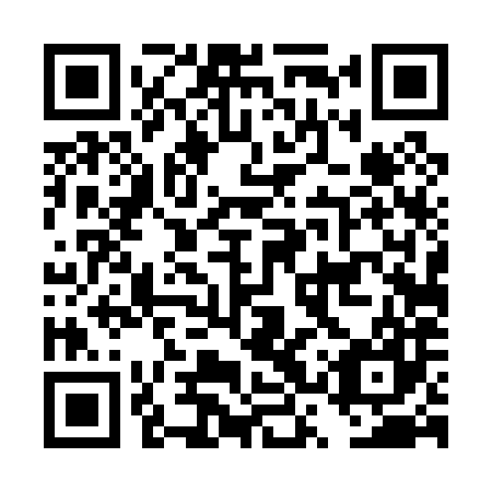 QR code for plate DST 087