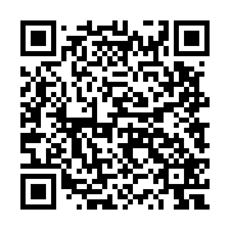 QR code for DST529