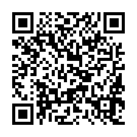 QR code for DSU 597