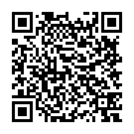 QR code for DSU 838