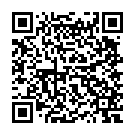 QR code for DSU441