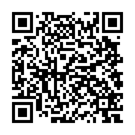 QR code for DSV 029