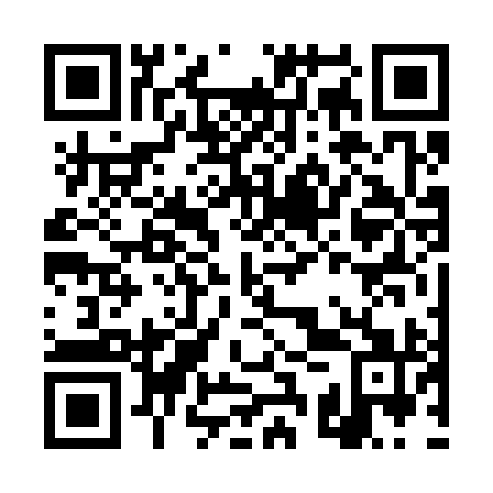 QR code for plate DSV 391
