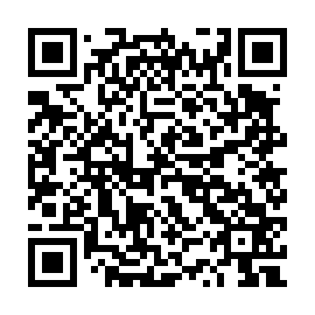 QR code for DSW 463