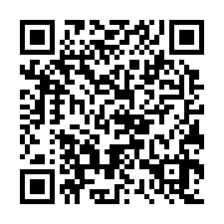 QR code for DSW337
