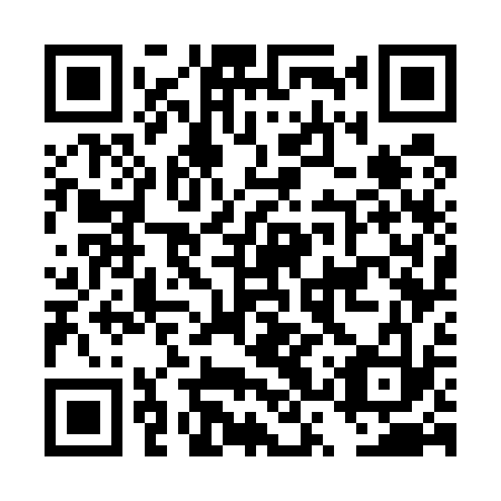 QR code for DSW533