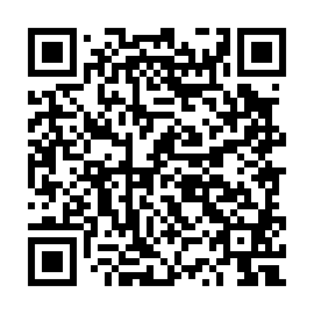 QR code for DSX 080