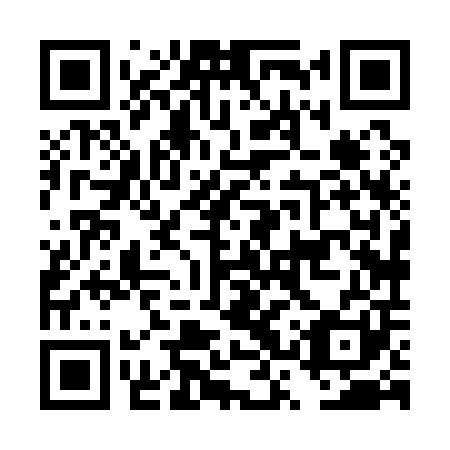 QR code for DSX 101