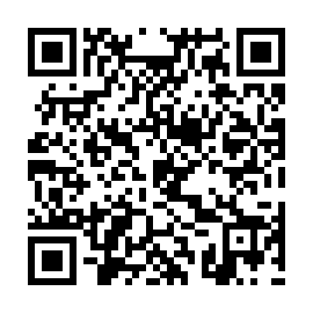QR code for DSX 228