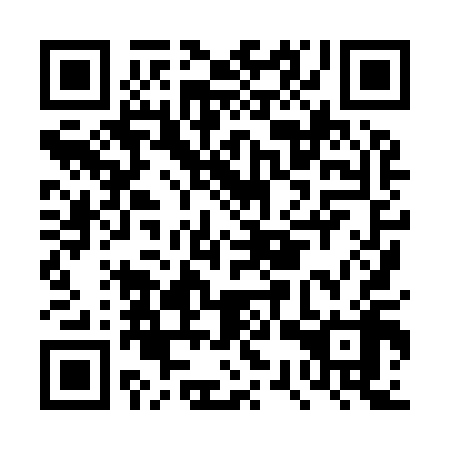 QR code for DSX 918