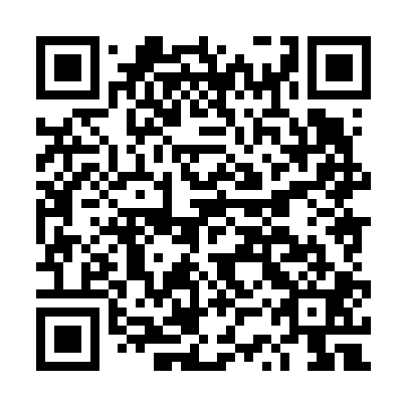 QR code for DSX601