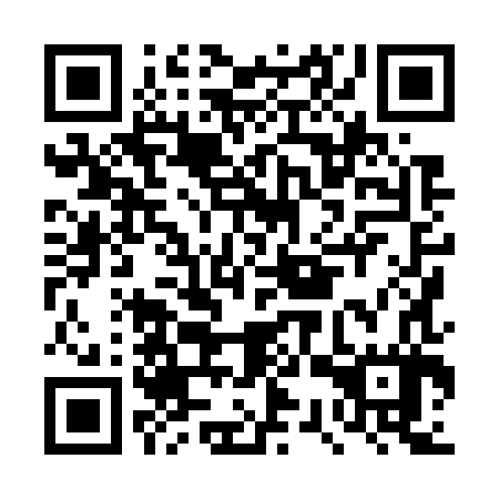 QR code for DSX787