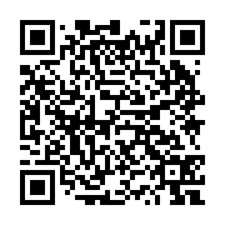 QR code for DSY 234