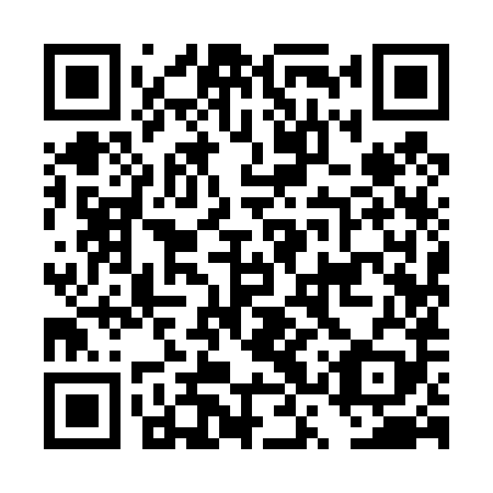 QR code for DSY 489
