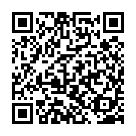 QR code for DSY 599