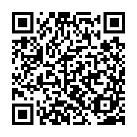 QR code for DSY 741