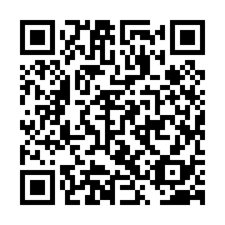 QR code for plate DSY 038