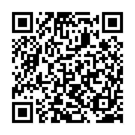 QR code for plate DSY 113