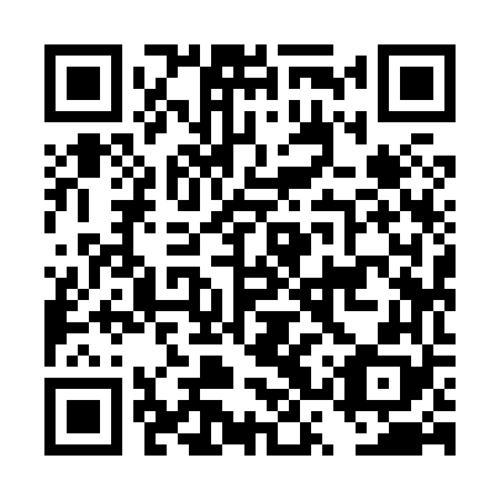 QR code for plate DSY 868