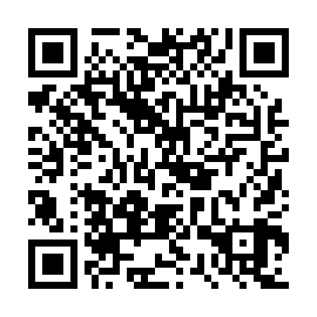 QR code for DSZ 009