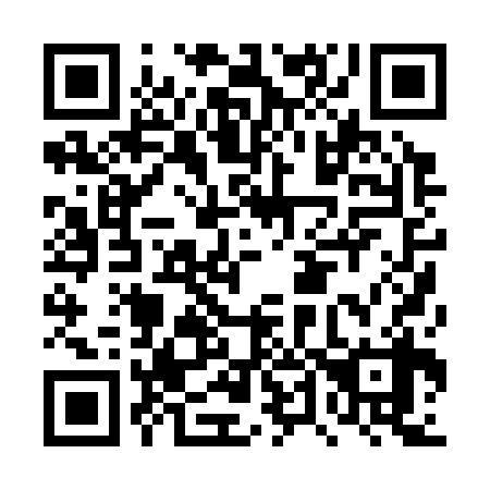 QR code for DT 0338