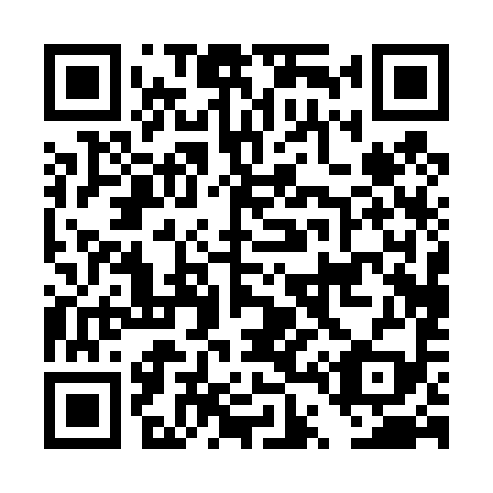 QR code for DT 0499