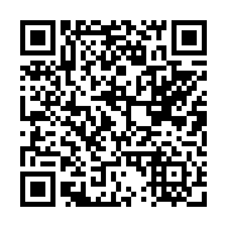 QR code for DT 0641
