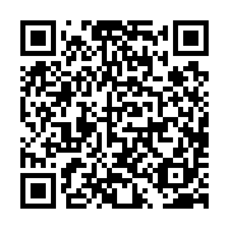 QR code for DT 0790
