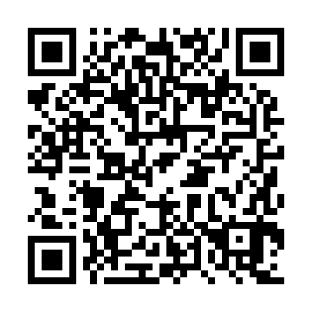 QR code for DT 0982
