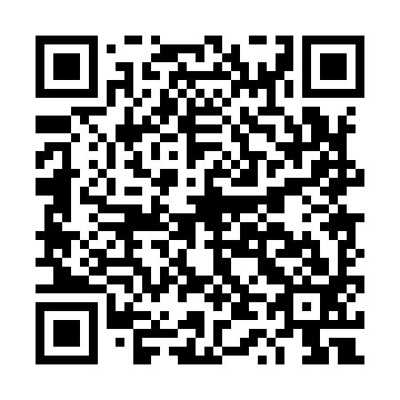 QR code for DT 0993