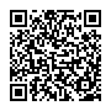 QR code for DT 2294
