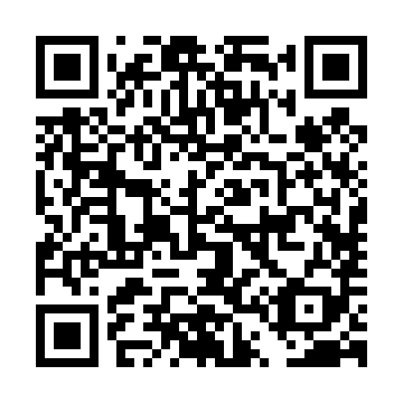 QR code for DT 2489