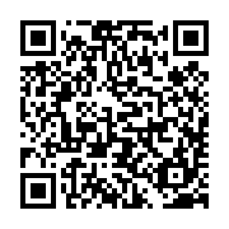 QR code for DT 2494