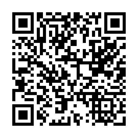 QR code for DT 3063