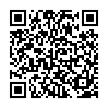 QR code for DT 3233