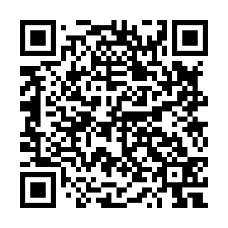 QR code for DT 3833
