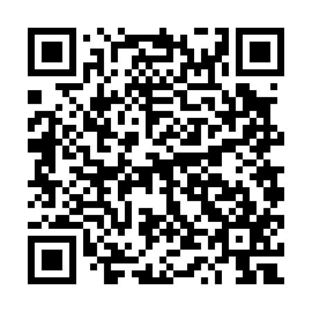QR code for DT 6017
