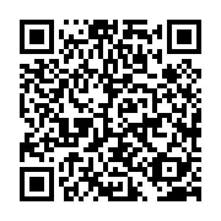 QR code for DT 8029