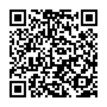 QR code for DT 8038